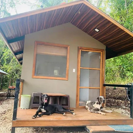 Cabanas Del Bosque Nandayure Exterior photo