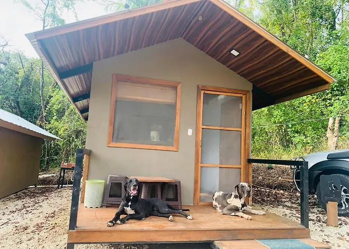 Cabanas Del Bosque