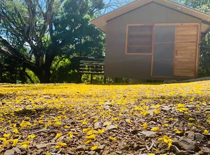 Cabanas Del Bosque