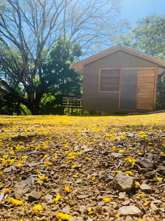 Lodge Del Bosque *
