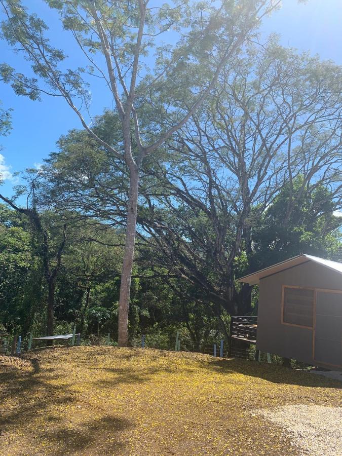 Lodge Del Bosque *